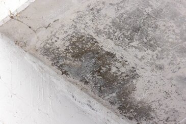 Förebygg vattenskador i hemmet med enkla åtgärder